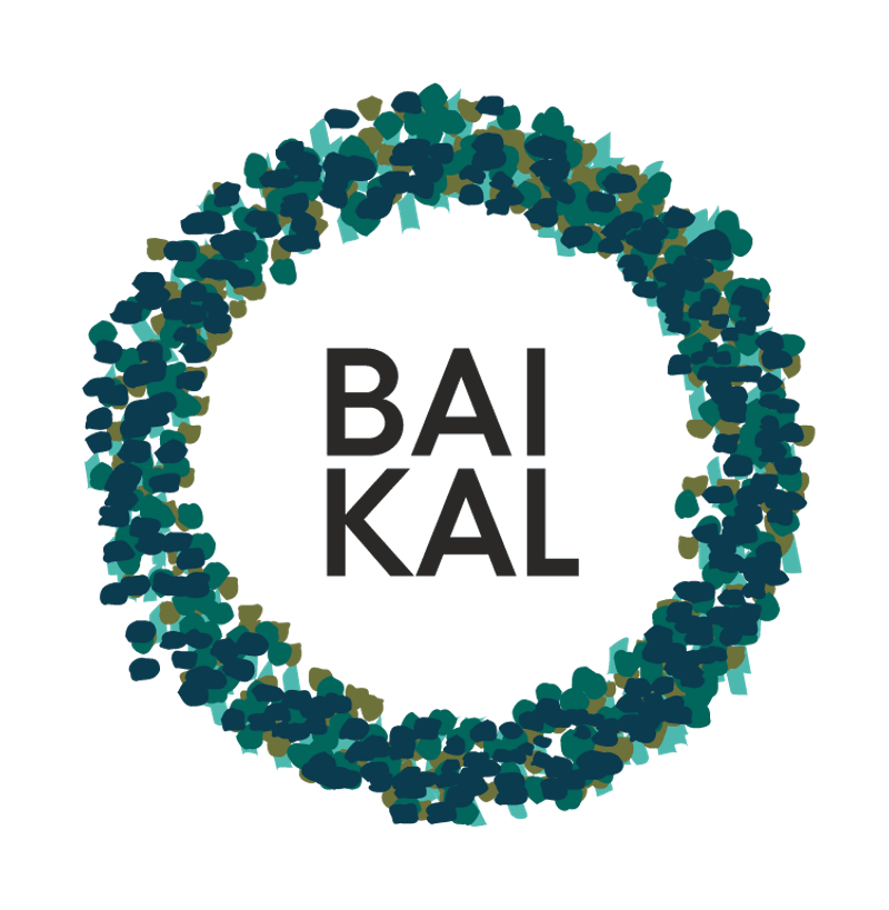 Logo de Baikal